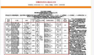 土地市场网出让公告一个页面有多条记录的情况示例