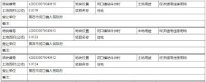 土地市场网地块公示一条公示多个表格示例